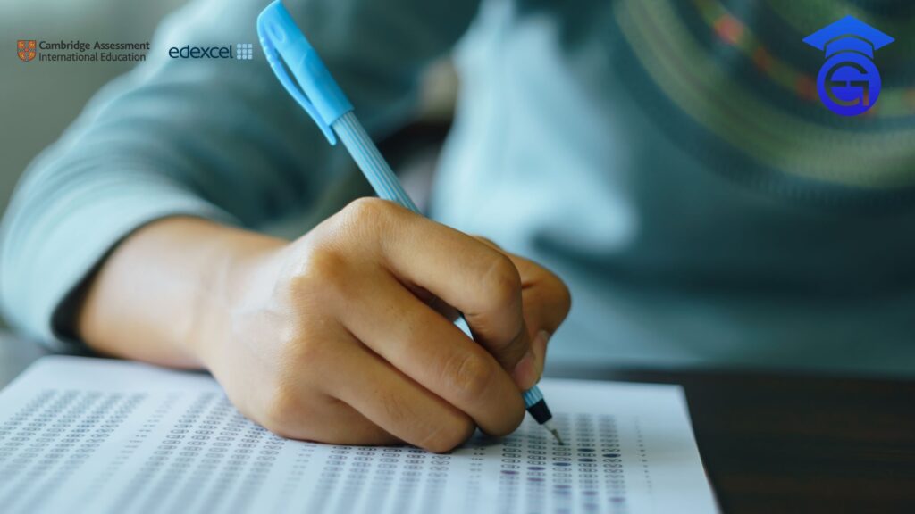 The Role of Practice Tests in Exam Preparation Success