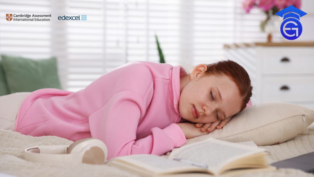 The Importance of Sleep in Student Success